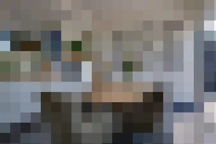 Stougjesdijk 171 Mijnsheerenland thumbnail 17