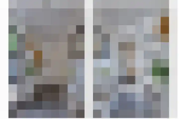 Stougjesdijk 171 Mijnsheerenland thumbnail 18