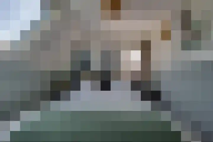 Stougjesdijk 171 Mijnsheerenland thumbnail 22
