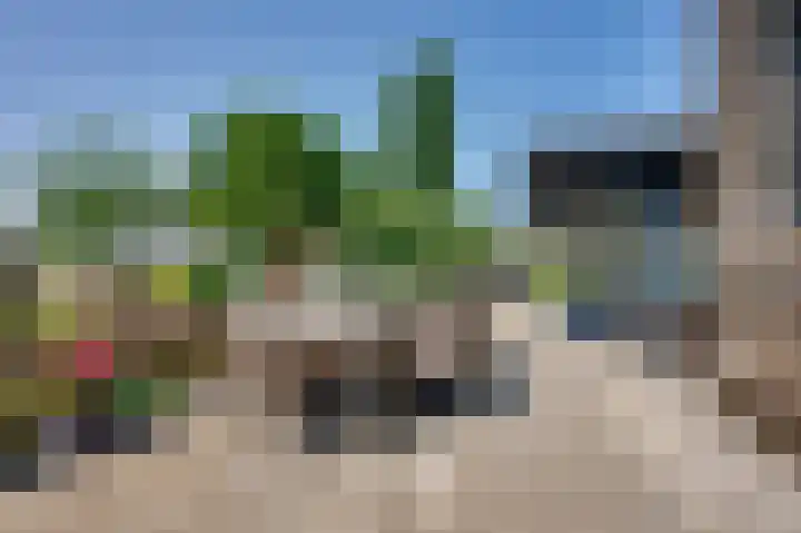 Stougjesdijk 171 Mijnsheerenland thumbnail 32