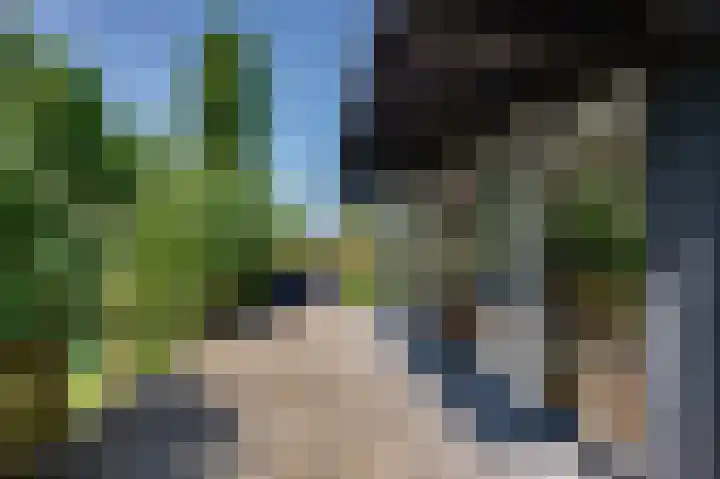 Stougjesdijk 171 Mijnsheerenland thumbnail 33