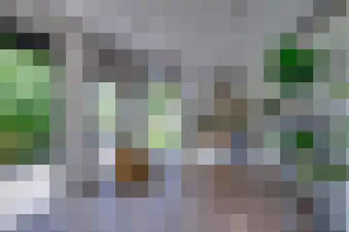 Stougjesdijk 171 Mijnsheerenland thumbnail 36