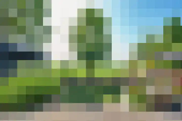 Stougjesdijk 171 Mijnsheerenland thumbnail 38