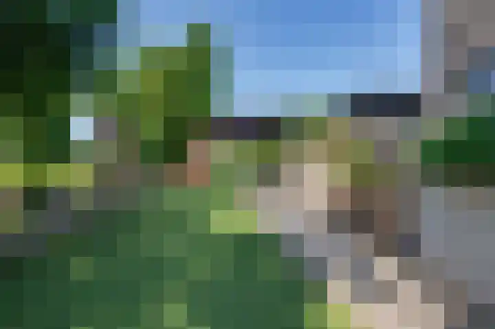 Stougjesdijk 171 Mijnsheerenland thumbnail 39