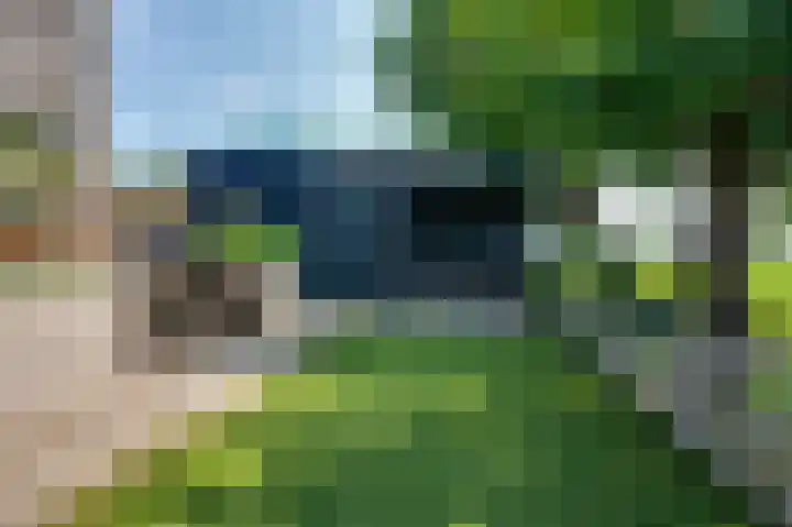Stougjesdijk 171 Mijnsheerenland thumbnail 40