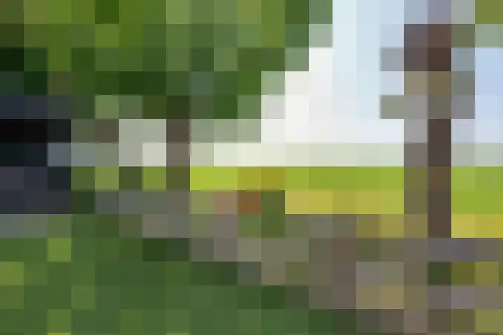 Stougjesdijk 171 Mijnsheerenland thumbnail 42