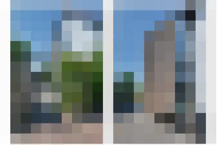 Stougjesdijk 171 Mijnsheerenland thumbnail 43