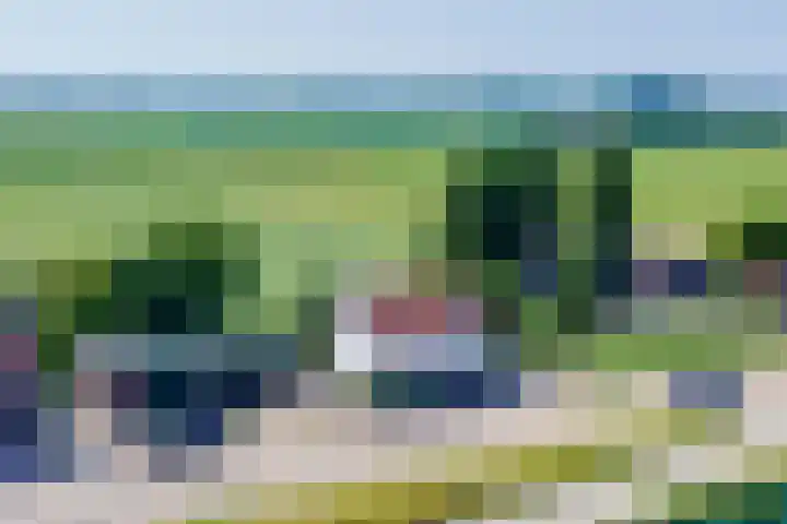Stougjesdijk 171 Mijnsheerenland thumbnail 62