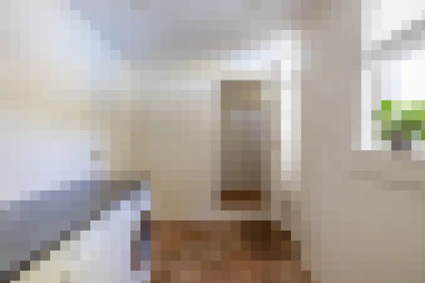 Stougjesdijk 236 Oud-Beijerland thumbnail 34