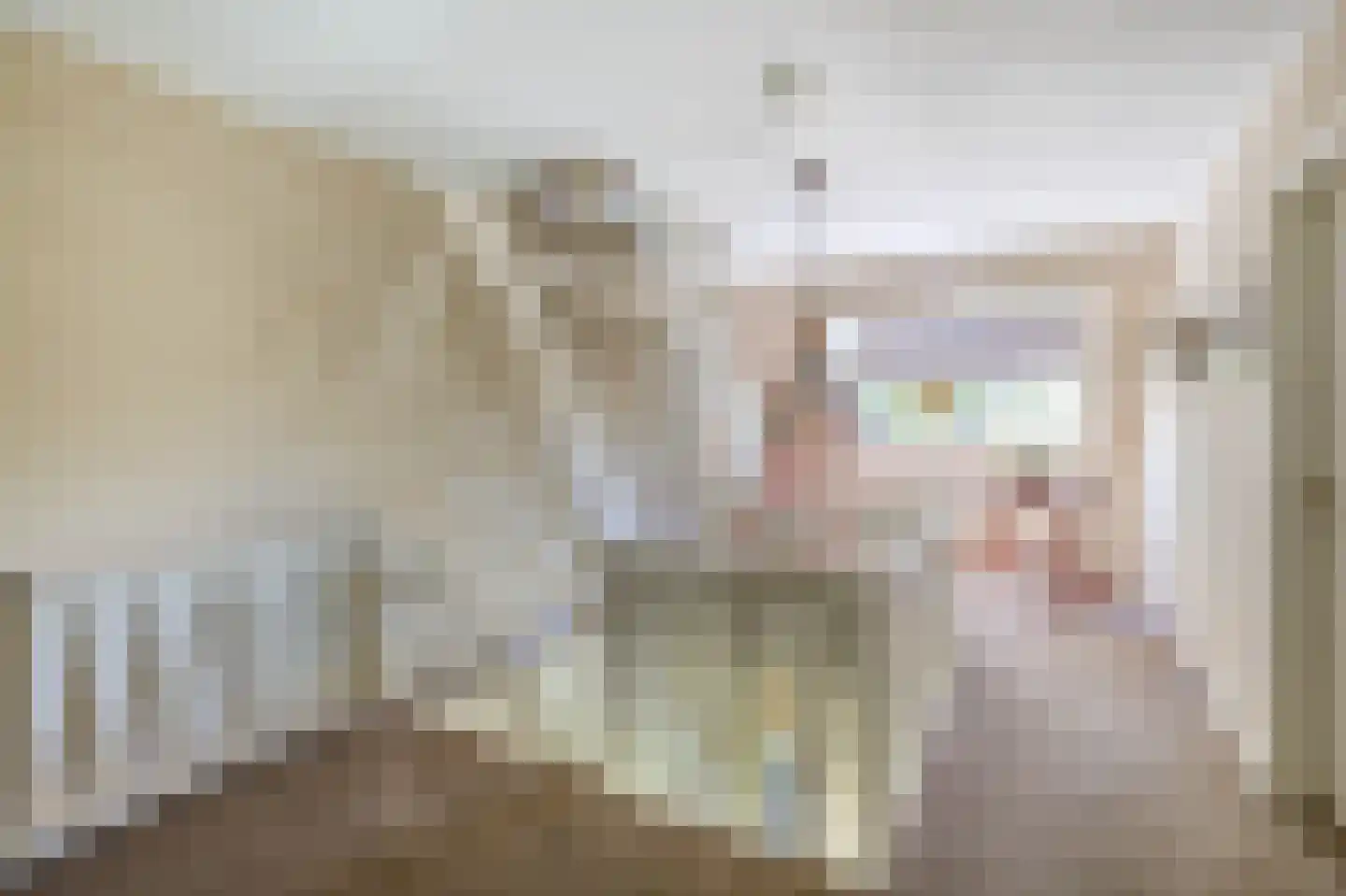 Stougjesdijk 236 Oud-Beijerland thumbnail 37