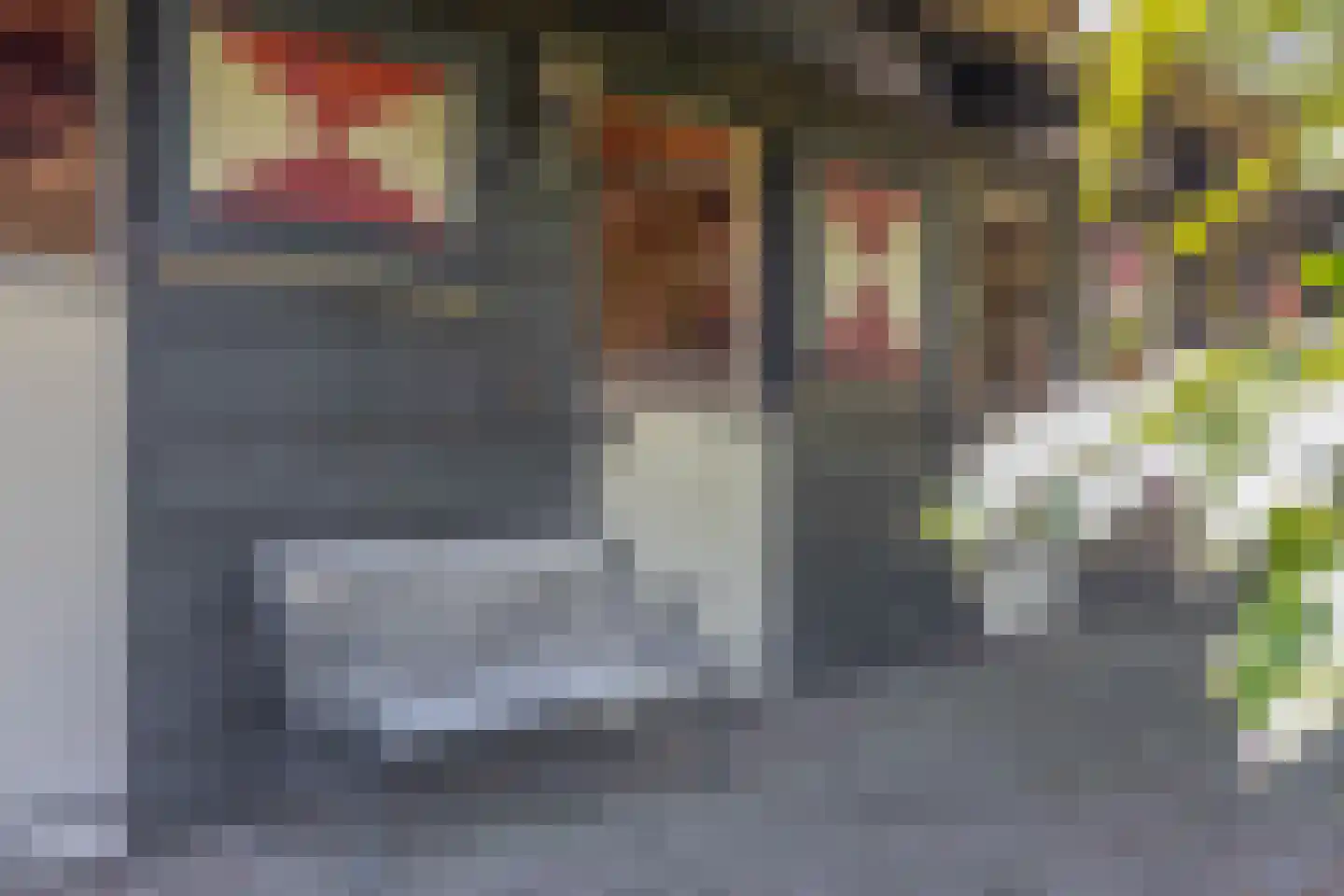 Stougjesdijk 236 Oud-Beijerland thumbnail 4