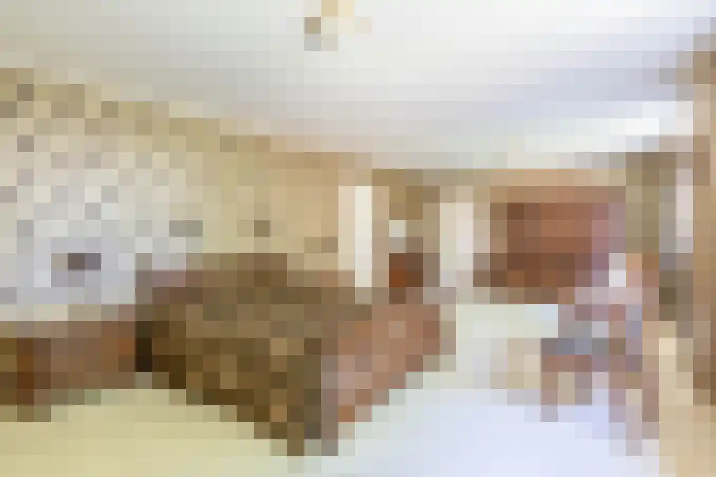 Stougjesdijk 236 Oud-Beijerland thumbnail 40