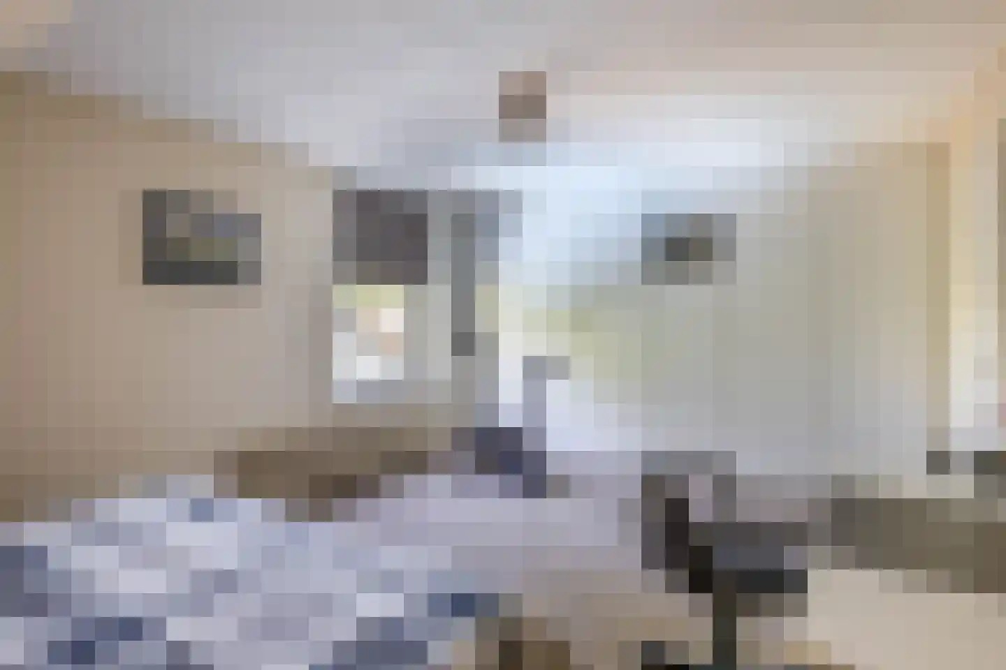 Stougjesdijk 236 Oud-Beijerland thumbnail 43