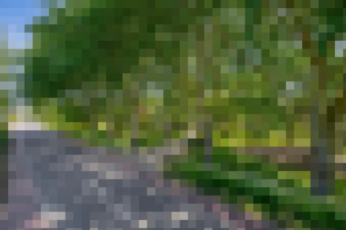 Stougjesdijk 236 Oud-Beijerland thumbnail 5