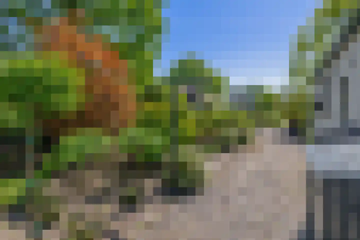 Stougjesdijk 236 Oud-Beijerland thumbnail 56