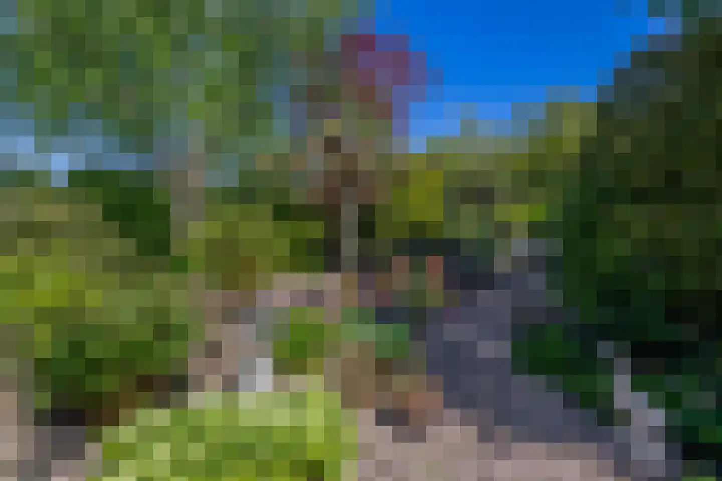 Stougjesdijk 236 Oud-Beijerland thumbnail 58