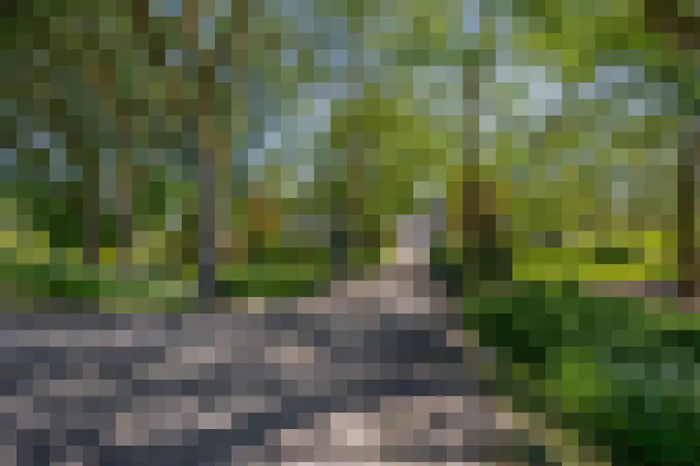 Stougjesdijk 236 Oud-Beijerland thumbnail 6