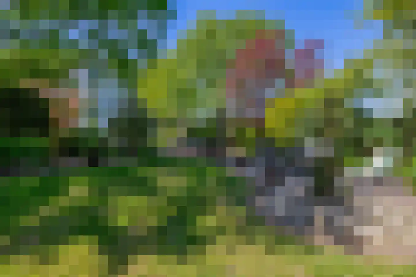 Stougjesdijk 236 Oud-Beijerland thumbnail 64
