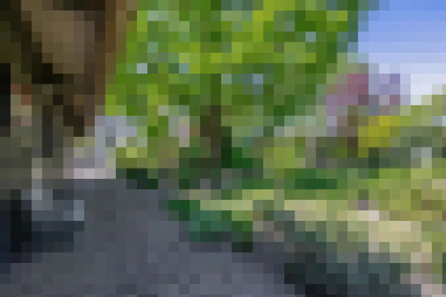 Stougjesdijk 236 Oud-Beijerland thumbnail 66