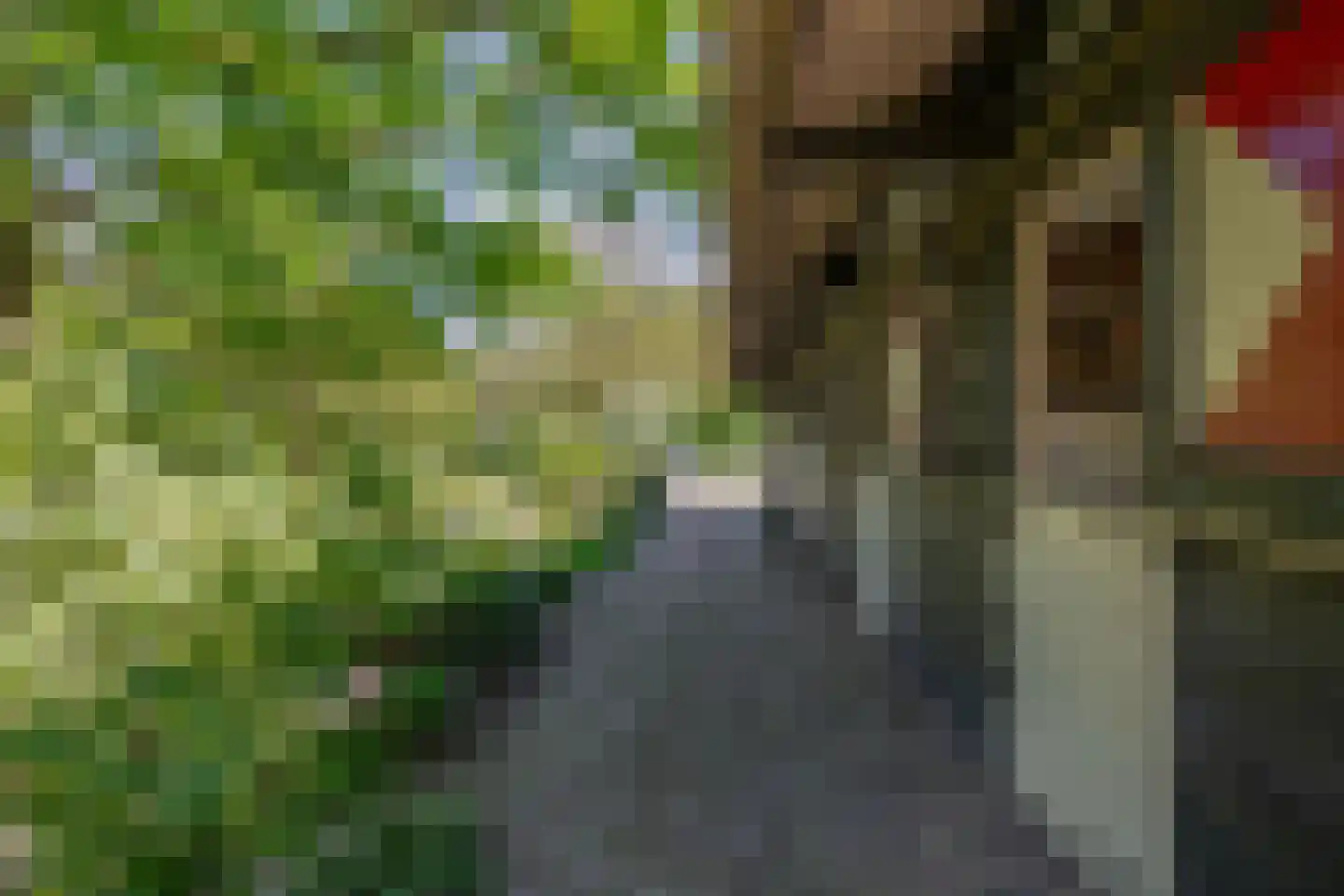 Stougjesdijk 236 Oud-Beijerland thumbnail 67