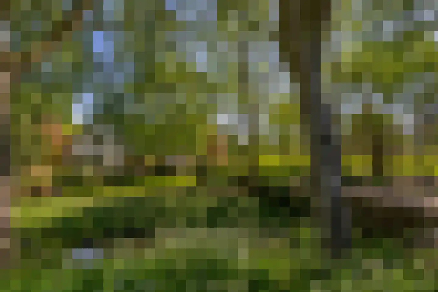 Stougjesdijk 236 Oud-Beijerland thumbnail 7