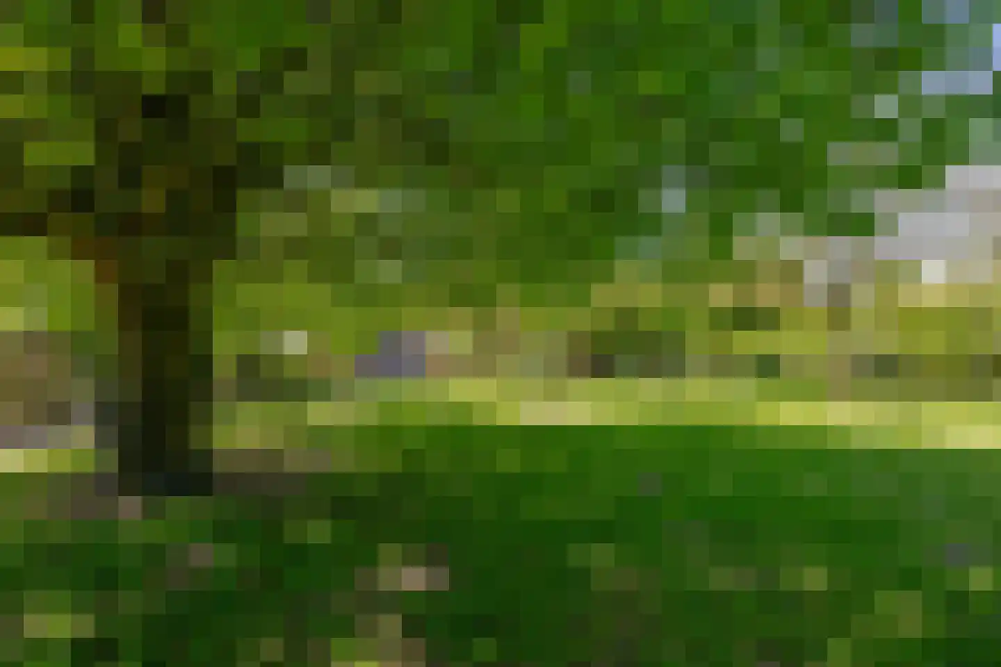 Stougjesdijk 236 Oud-Beijerland thumbnail 70