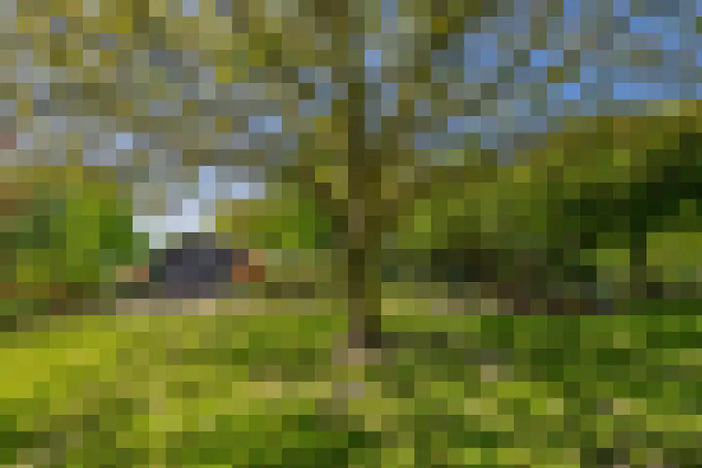 Stougjesdijk 236 Oud-Beijerland thumbnail 71