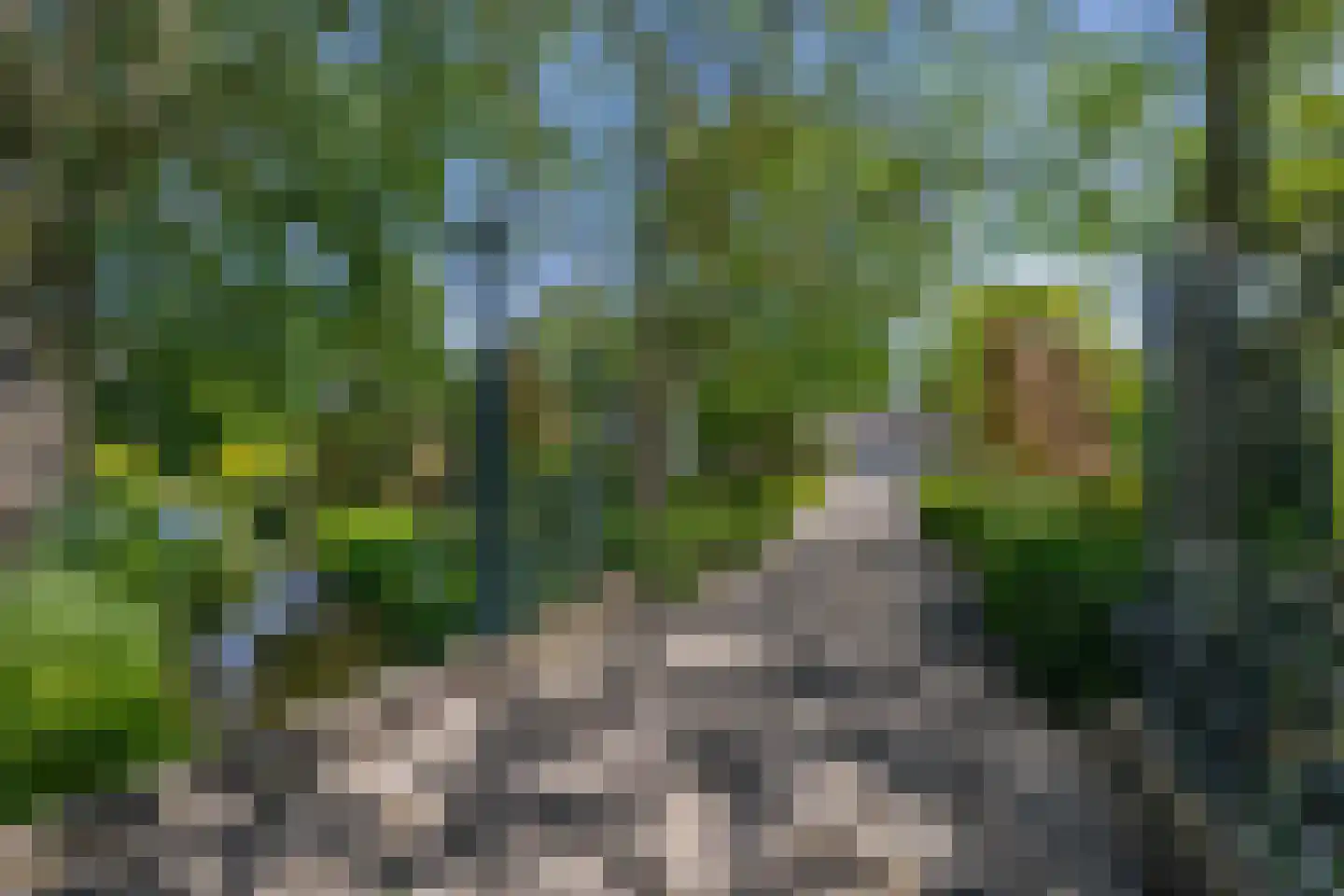 Stougjesdijk 236 Oud-Beijerland thumbnail 8