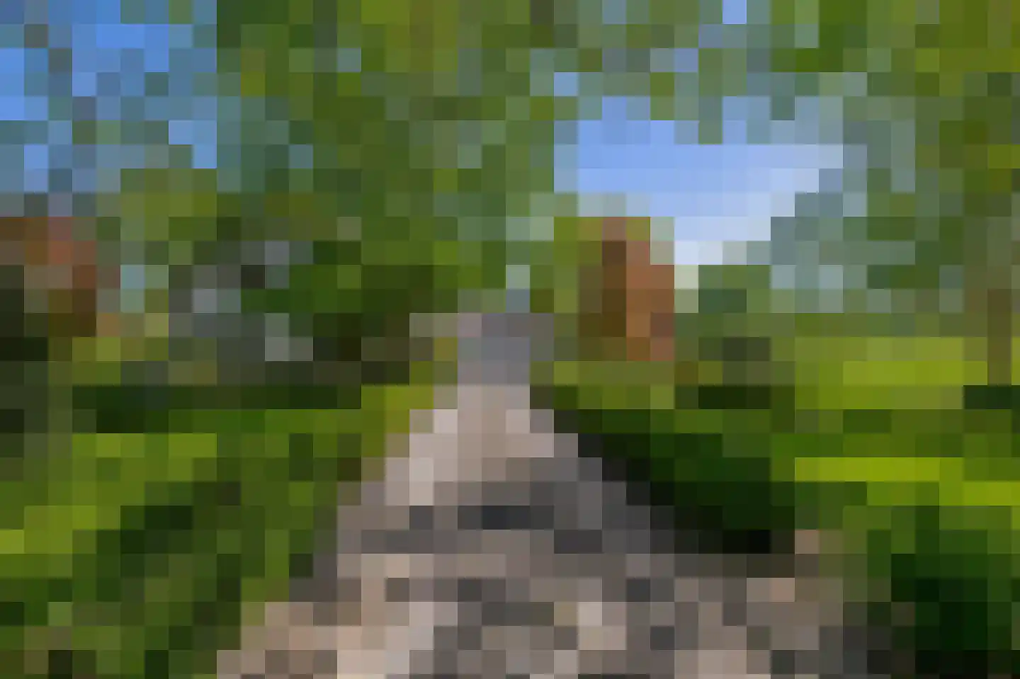 Stougjesdijk 236 Oud-Beijerland thumbnail 9