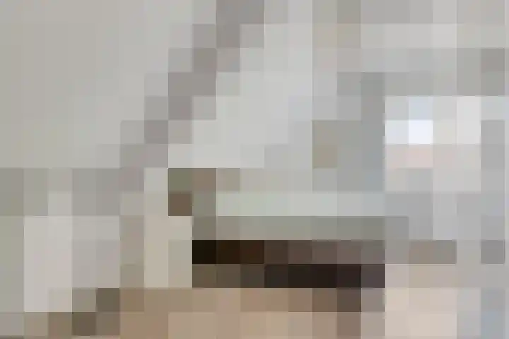 Stougjesdijk 243 A Oud-Beijerland thumbnail 38