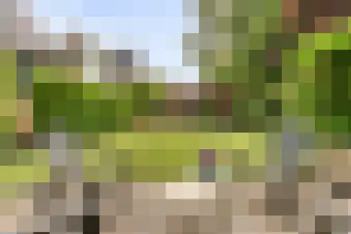 Stougjesdijk 243 A Oud-Beijerland thumbnail 4