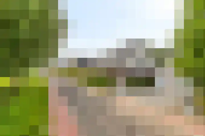 Stougjesdijk 243 A Oud-Beijerland thumbnail 5