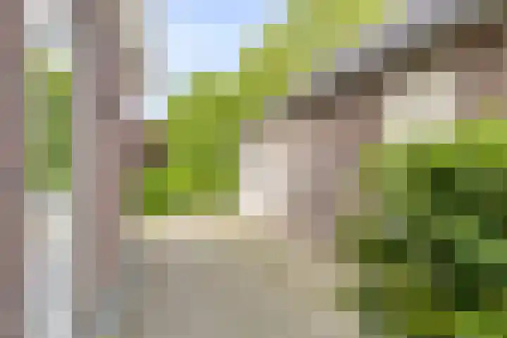 Stougjesdijk 243 A Oud-Beijerland thumbnail 50