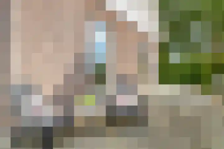 Stougjesdijk 243 A Oud-Beijerland thumbnail 51