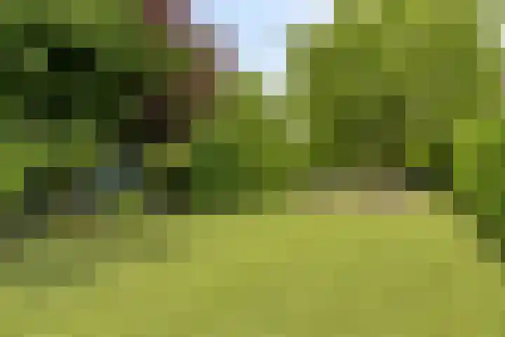 Stougjesdijk 243 A Oud-Beijerland thumbnail 56