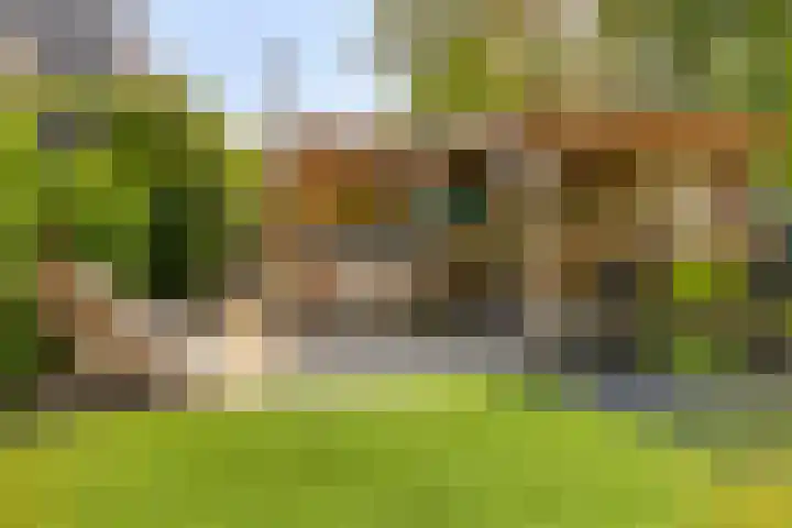 Stougjesdijk 243 A Oud-Beijerland thumbnail 58