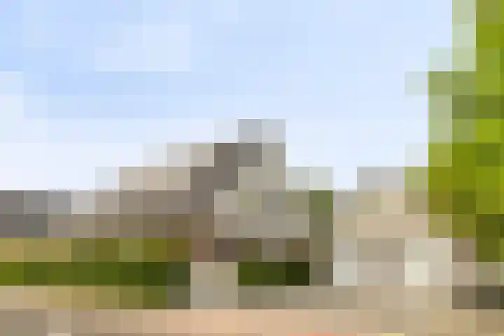 Stougjesdijk 243 A Oud-Beijerland thumbnail 6