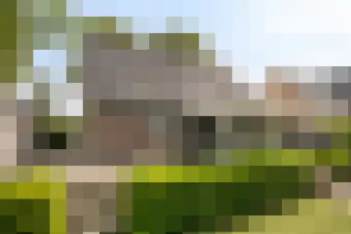 Stougjesdijk 243 A Oud-Beijerland thumbnail 60