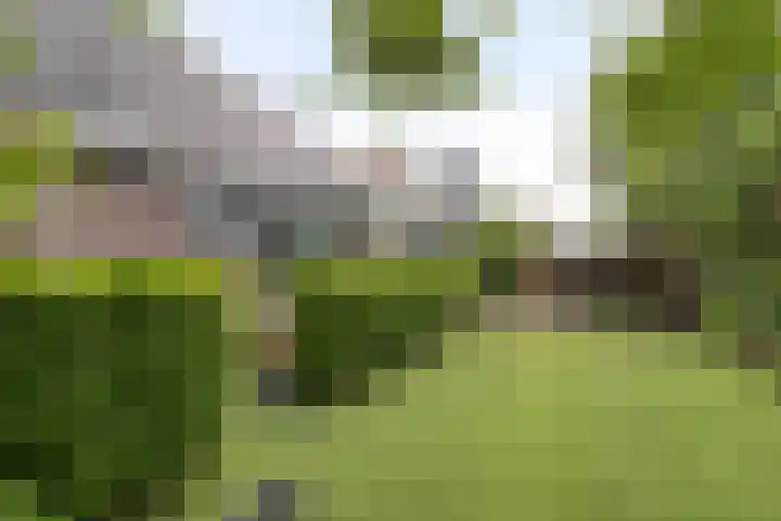 Stougjesdijk 243 A Oud-Beijerland thumbnail 61