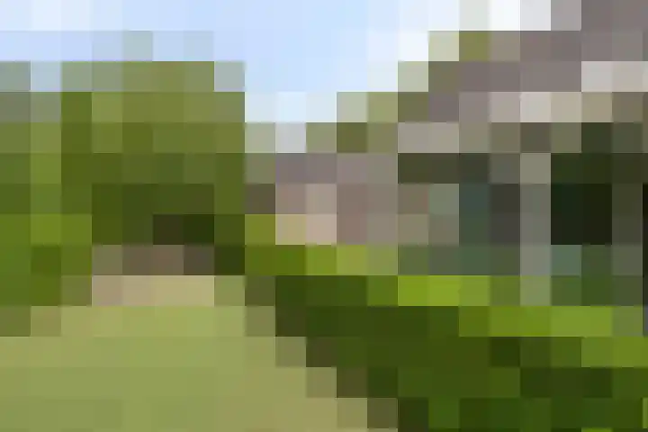 Stougjesdijk 243 A Oud-Beijerland thumbnail 62
