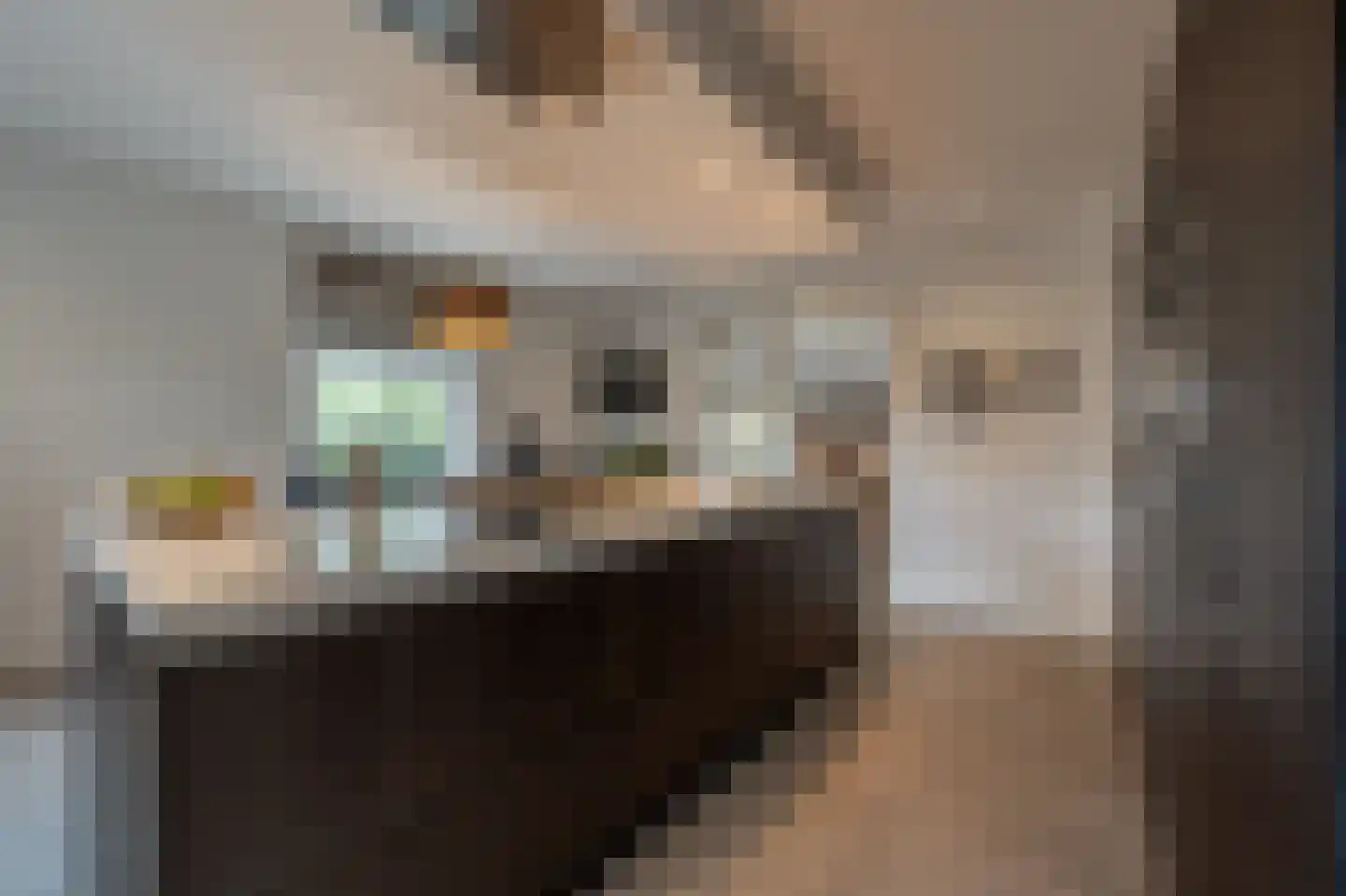 Stougjesdijk 243 Oud-Beijerland thumbnail 20