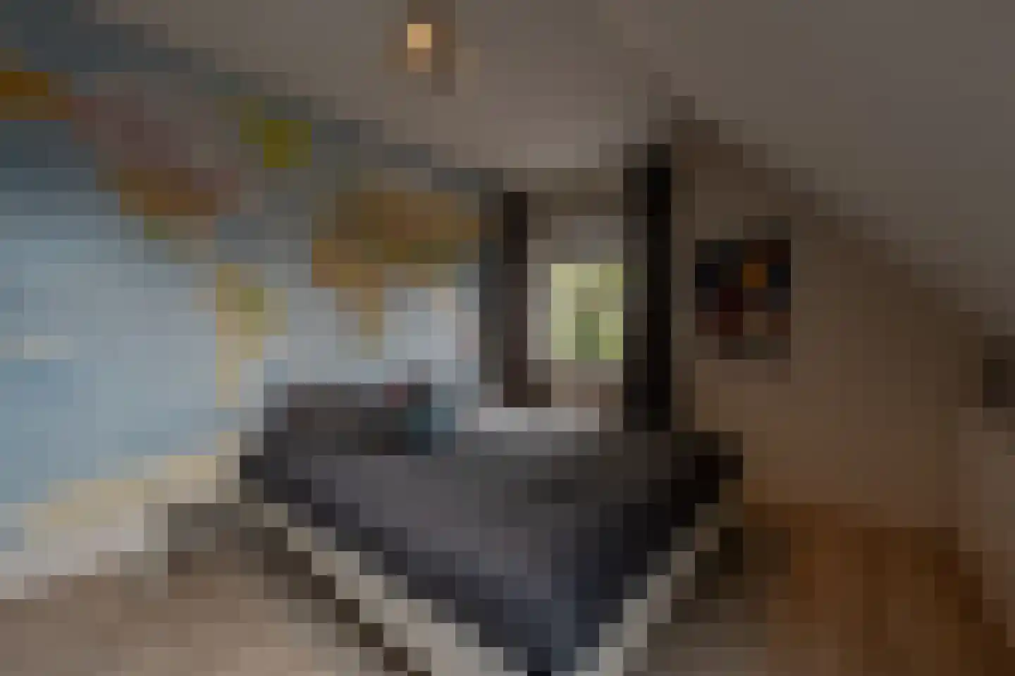Stougjesdijk 243 Oud-Beijerland thumbnail 34