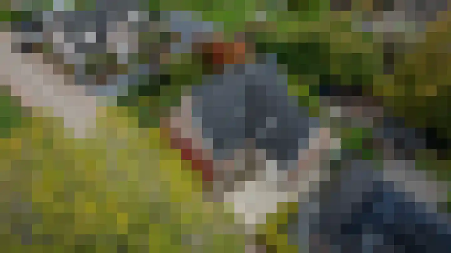 Stougjesdijk 243 Oud-Beijerland thumbnail 4