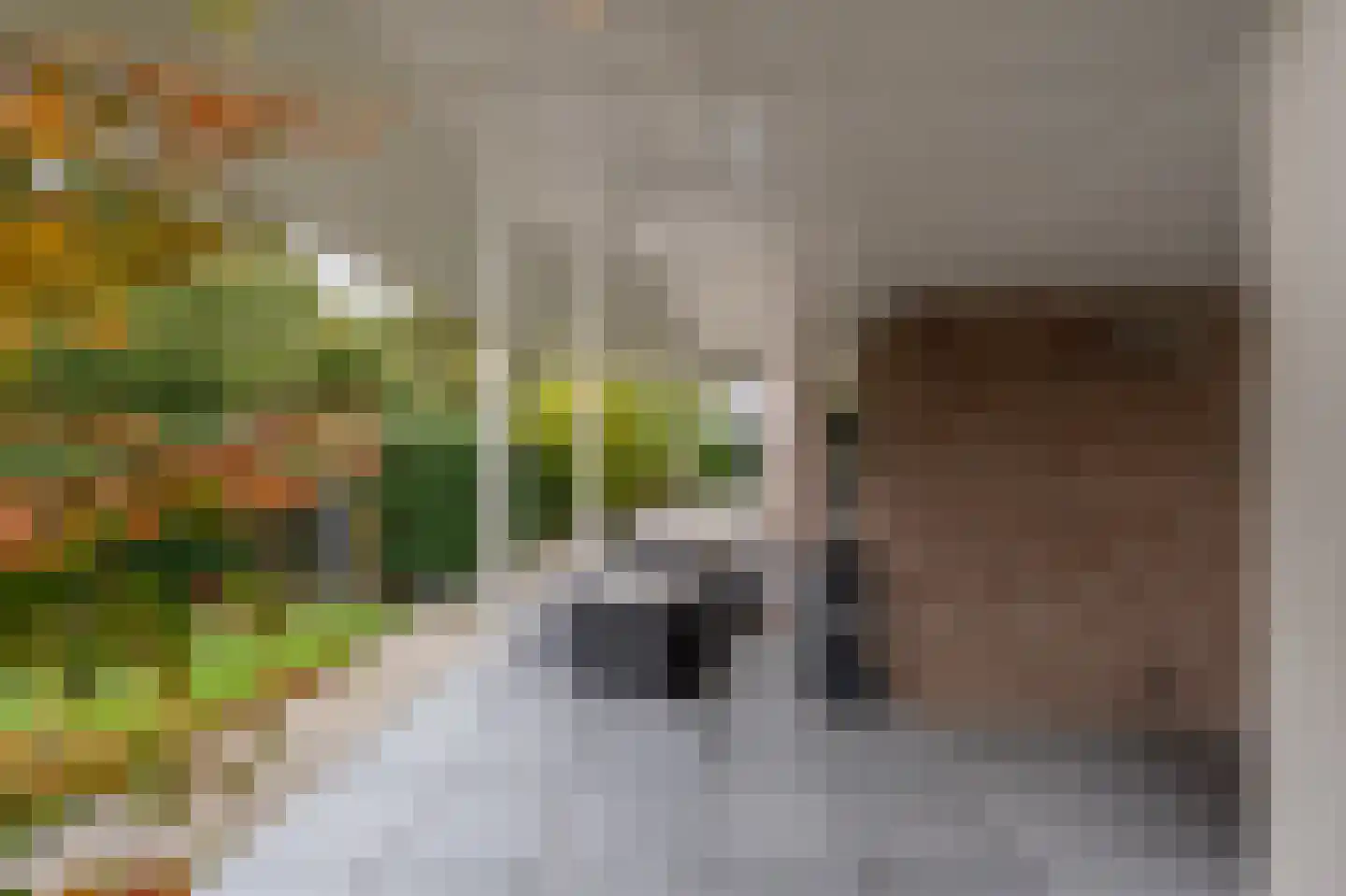 Stougjesdijk 243 Oud-Beijerland thumbnail 49