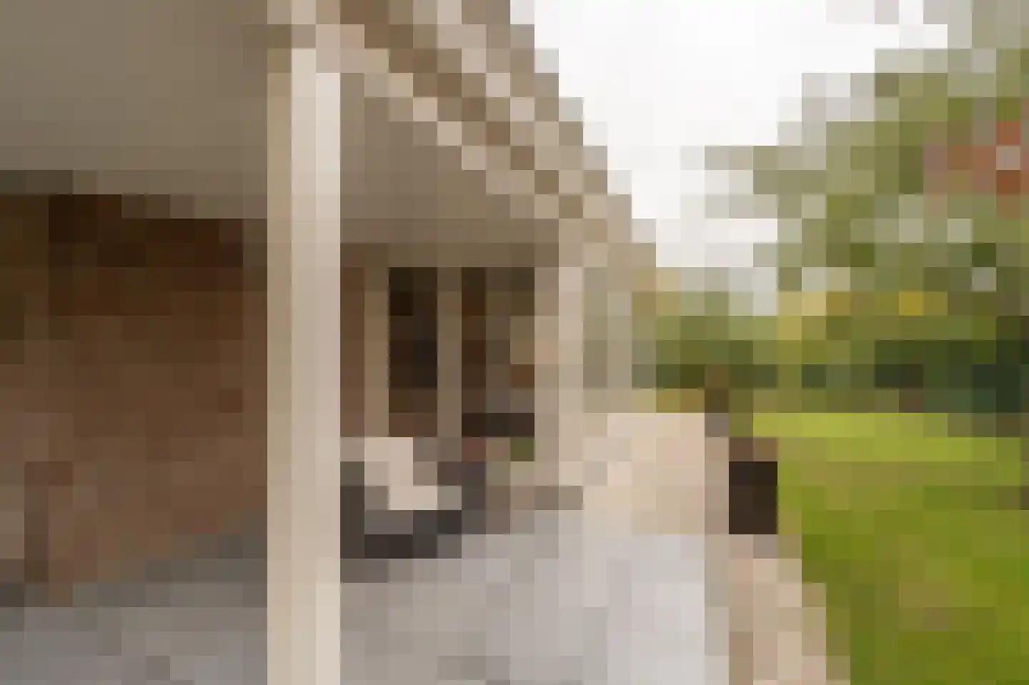 Stougjesdijk 243 Oud-Beijerland thumbnail 50