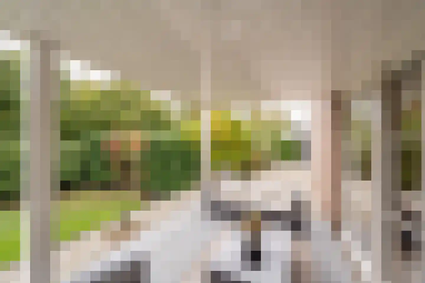 Stougjesdijk 243 Oud-Beijerland thumbnail 52