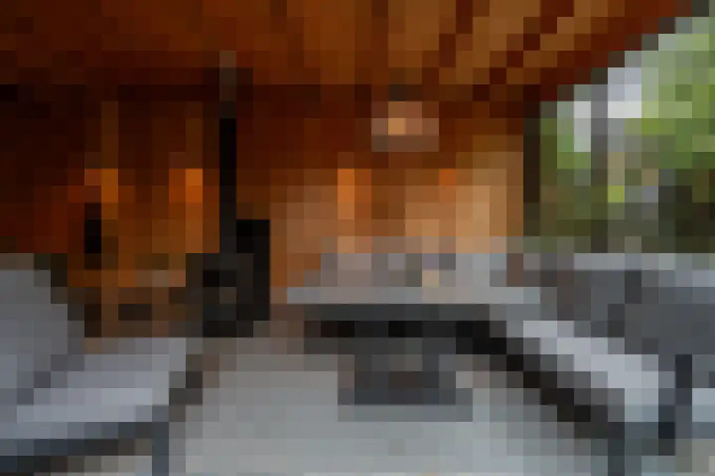 Stougjesdijk 243 Oud-Beijerland thumbnail 53