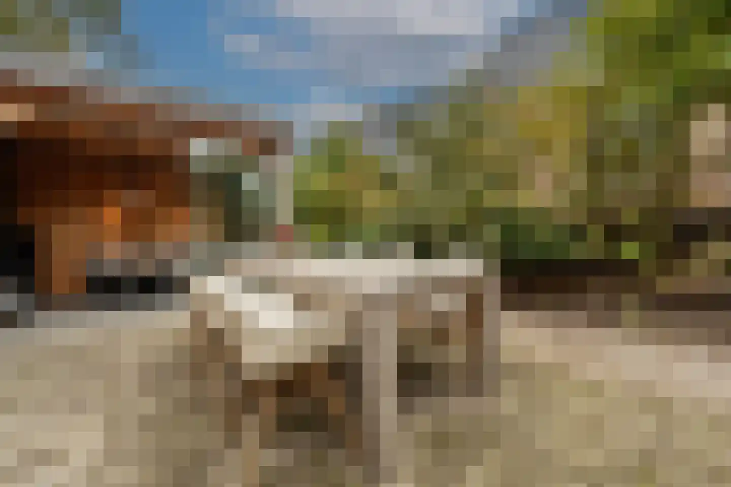 Stougjesdijk 243 Oud-Beijerland thumbnail 57