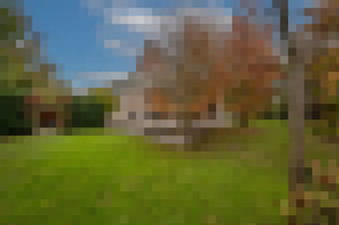 Stougjesdijk 243 Oud-Beijerland thumbnail 58