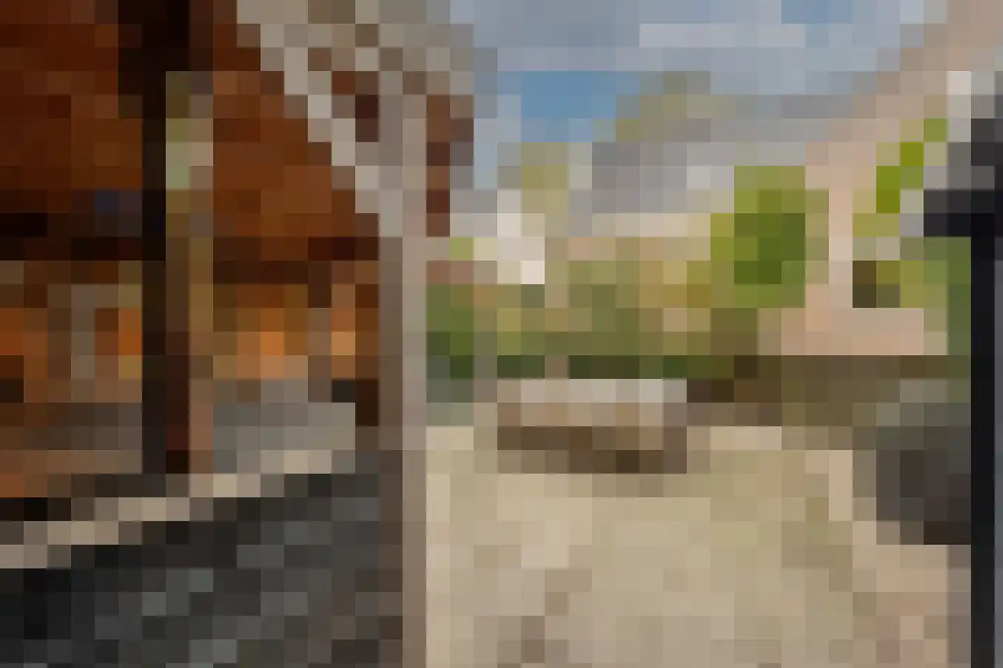 Stougjesdijk 243 Oud-Beijerland thumbnail 59